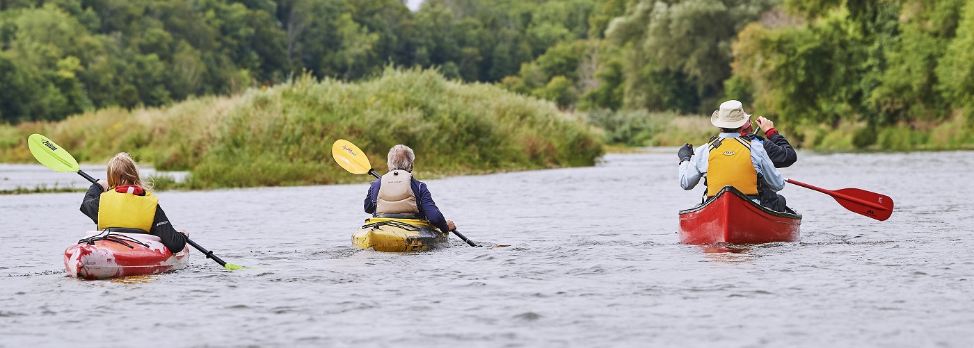 Paddlers on Grand River